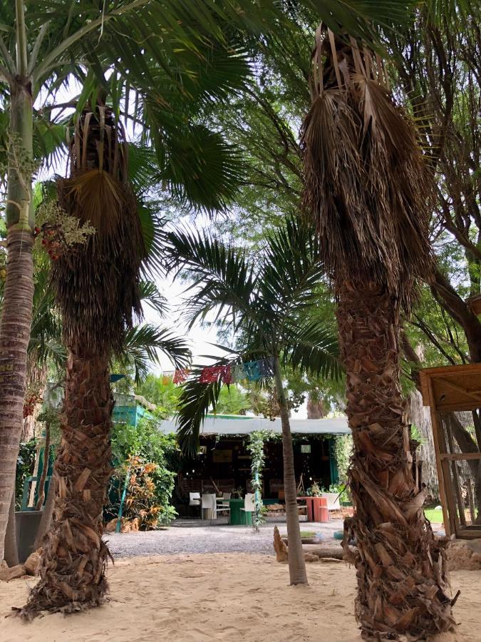 Tropical Morabeza Apartment Santa Maria Εξωτερικό φωτογραφία